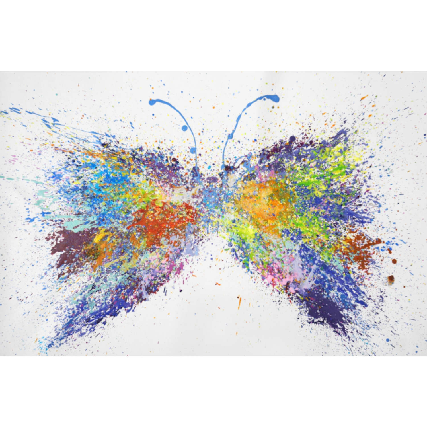 AB-36517Butterfly_2.jpg